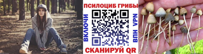 площадка состав  Ува  Галлюциногенные грибы MAGIC MUSHROOMS 